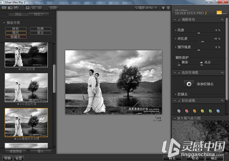 PS Lr 黑白胶片滤镜插件Silver Efex Pro v2.006中文版(支持CC2019）  灵感中国网 www.lingganchina.com