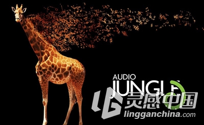 AE模板音乐-Rock That Crowd! (Audiojungle)  灵感中国社区 www.lingganchina.com