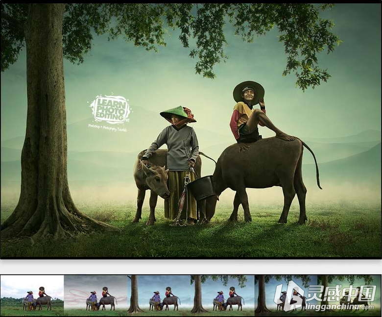 Learn PhotoEditing 22个摄影教程与Photoshop后期教程合集  灵感中国网 www.lingganchina.com