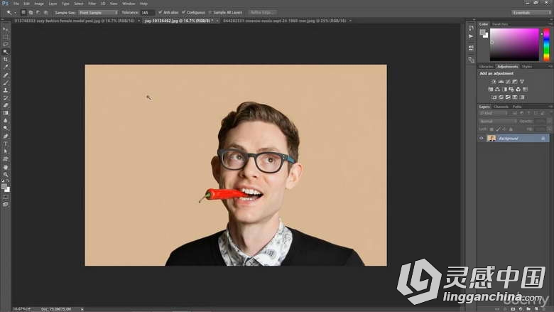 Photoshop CC摄影后期调色润饰解惑视频教程  灵感中国网 www.lingganchina.com
