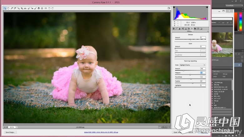 Photoshop CC摄影后期调色润饰解惑视频教程  灵感中国网 www.lingganchina.com