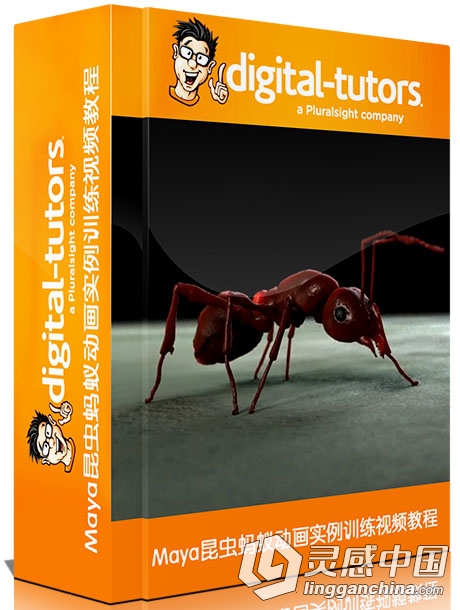 Maya昆虫蚂蚁动画实例训练视频教程Digital-Tutors Creating Procedural Animation ...  灵感中国网 www.lingganchina.com