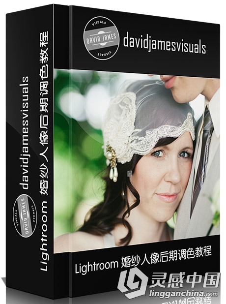 Lightroom婚纱人像后期调色视频教程 中文字幕 附LR预设文件  灵感中国网 www.lingganchina.com