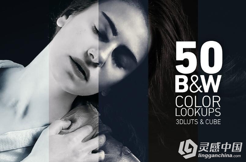 黑白风格LUTs电影风格调色预设50组 B&amp;W Colorlookups  灵感中国网 www.lingganchina.com