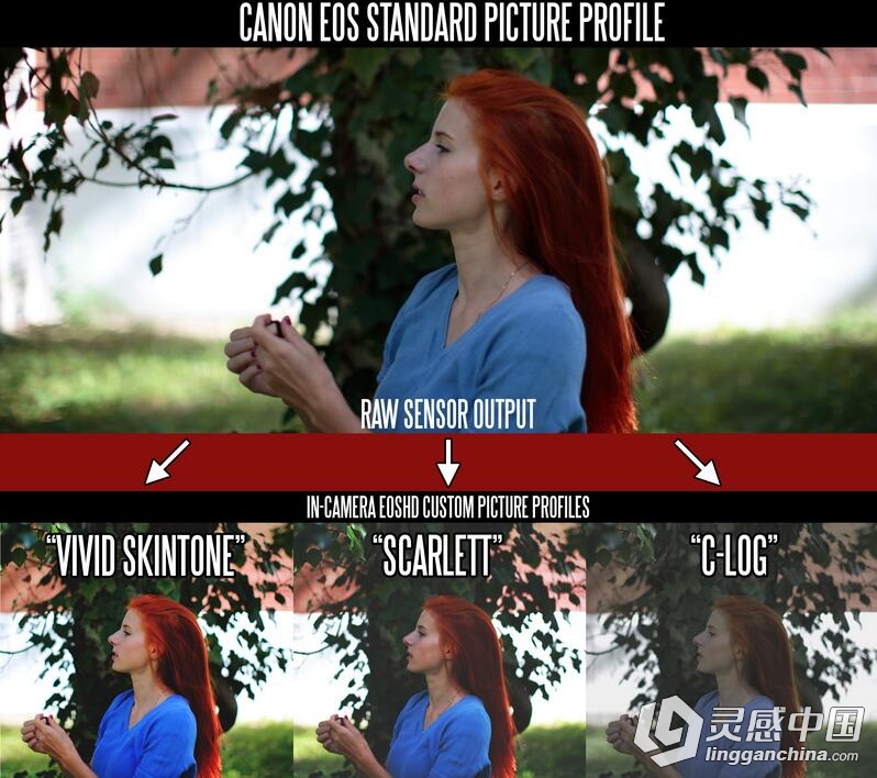 佳能EOSHD C-LOG和Film Profiles Pack电影配置预设包  灵感中国网 www.lingganchina.com