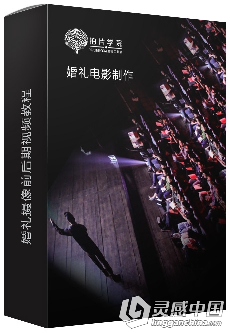 婚礼电影制作婚礼摄像前后期中文视频教程 价值2999元  灵感中国网 www.lingganchina.com
