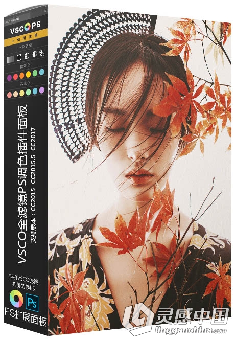 VSCO电脑版137款滤镜-VSCO全滤镜PS调色插件拓展面板-MacOSX系统版  灵感中国网 www.lingganchina.com