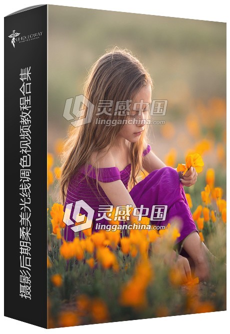 Lisa Holloway摄影后期柔美光线调色视频教程合集  灵感中国网 www.lingganchina.com