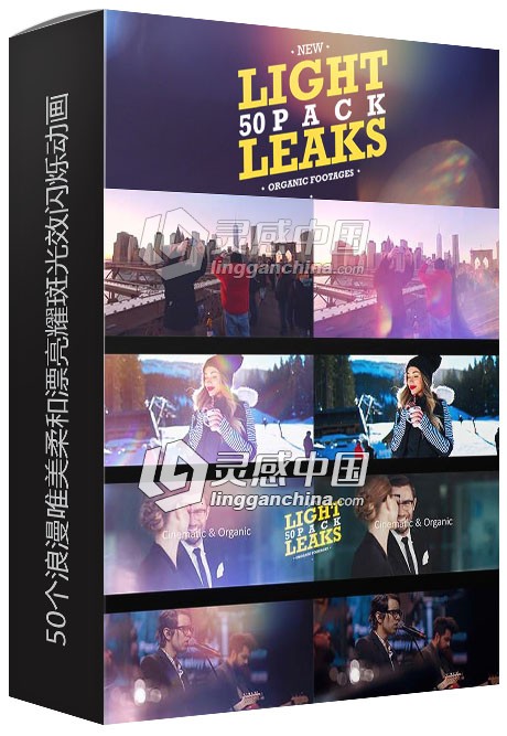 50个浪漫唯美柔和漂亮耀斑光效闪烁动画视频素材合集 Light Leaks  灵感中国网 www.lingganchina.com