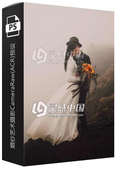 婚纱艺术摄影CameraRaw(ACR)预设 C＆A CameraRaw Presets  灵感中国网 www.lingganchina.com