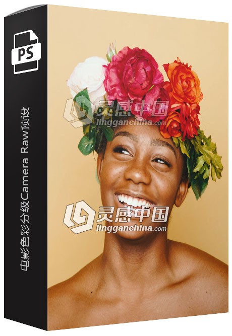 电影色彩分级Camera Raw预设 Camera Raw ACR预设  灵感中国网 www.lingganchina.com