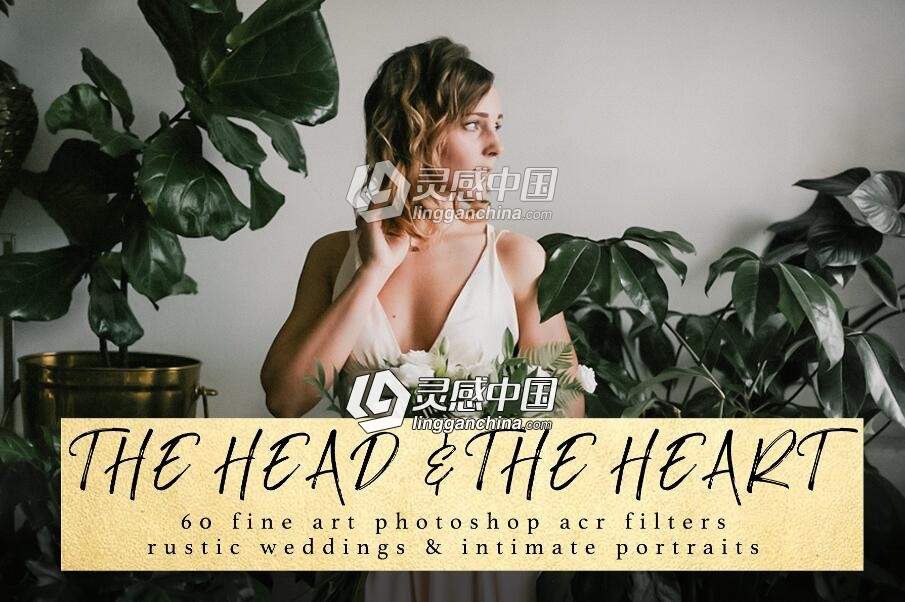 The Head &amp; The Heart Photoshop ACRs  灵感中国网 www.lingganchina.com