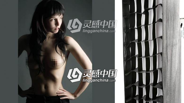 德国人体摄影Studiofotografie人体魅力私房摄影布光视频教程  灵感中国网 www.lingganchina.com