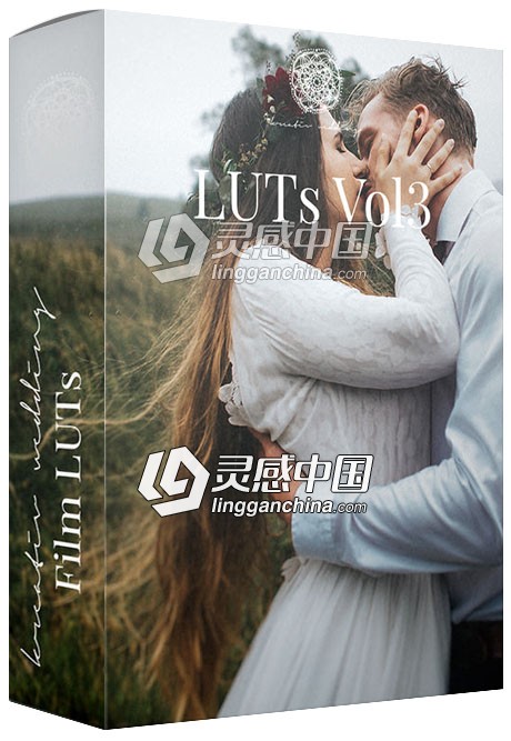 电影胶片质感婚礼微电影MV调色LUT预设 Kreativ Wedding LUTs Vol.3 (Win/Mac)  灵感中国网 www.lingganchina.com