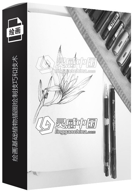 绘画基础植物插图绘制技巧和技术入门训练视频教程  灵感中国网 www.lingganchina.com