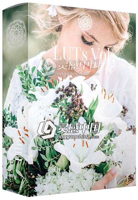 高端婚礼视频调色LUTs预设-Kreativ Wedding LUTs Vol1 (Win/Mac)  灵感中国网 www.lingganchina.com