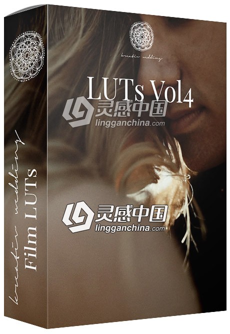 高端婚礼视频调色LUTs预设-Kreativ Wedding LUTs Vol4 (Win/Mac)  灵感中国网 www.lingganchina.com
