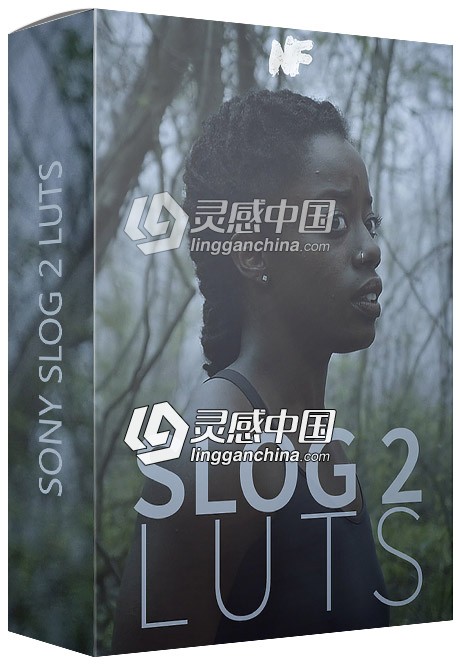 Neumann Films索尼S-LOG2专用电影级调色包 10个LUT预设  灵感中国网 www.lingganchina.com