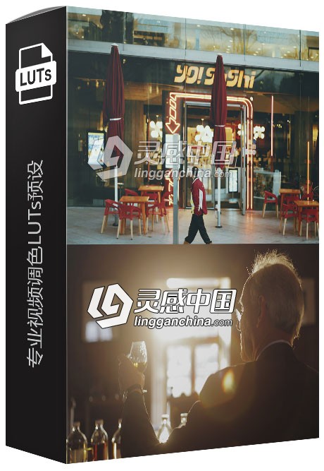 佳能 Canon DSLR LOG3 &amp; LOOKS pf3 Profiles +专业视频调色LUTs预设下载  灵感中国网 www.lingganchina.com