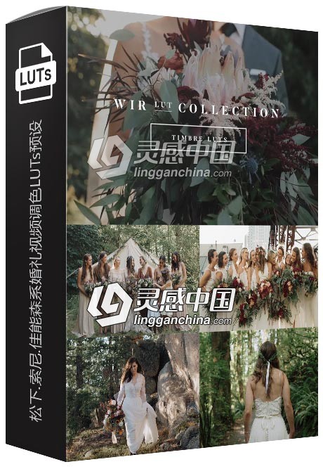 White In Revery – 松下.索尼.佳能森系婚礼视频调色LUTs预设下载  灵感中国网 www.lingganchina.com