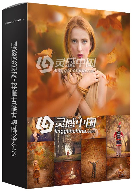 50组秋季落叶飘叶素材-附视频教程 JD Special Effects: Leaf Overlays &amp; Actions  灵感中国网 www.lingganchina.com