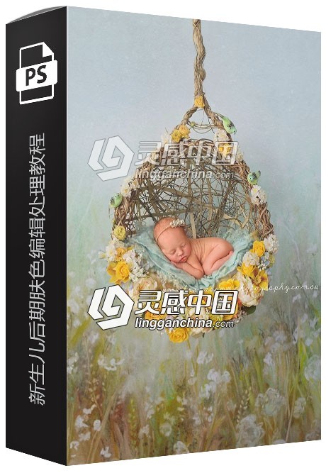 澳洲摄影大师Luisa Dunn -TheMilkyWay新生儿后期肤色编辑处理视频教程  灵感中国网 www.lingganchina.com