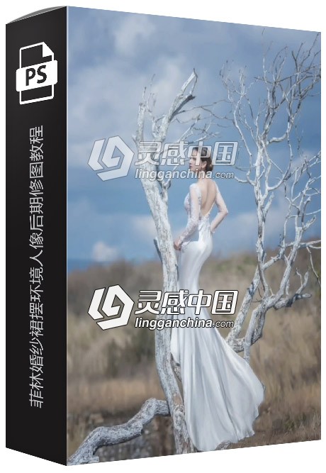 菲林婚纱裙摆环境人像后期修图中文视频教程  灵感中国网 www.lingganchina.com