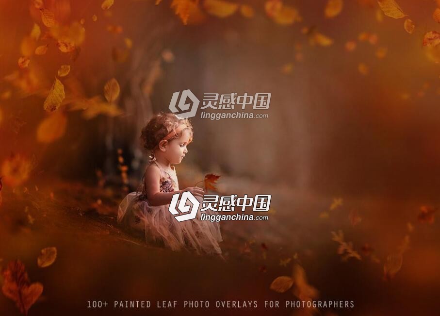 100张唯美秋季人像后期叠加合成素材 100+ Painted Leaf Photo Overlays  灵感中国网 www.lingganchina.com
