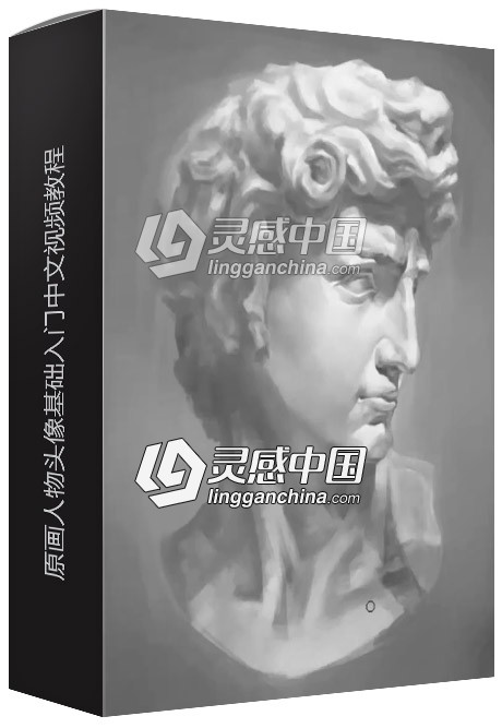 原画人物头像基础入门中文视频教程  灵感中国网 www.lingganchina.com