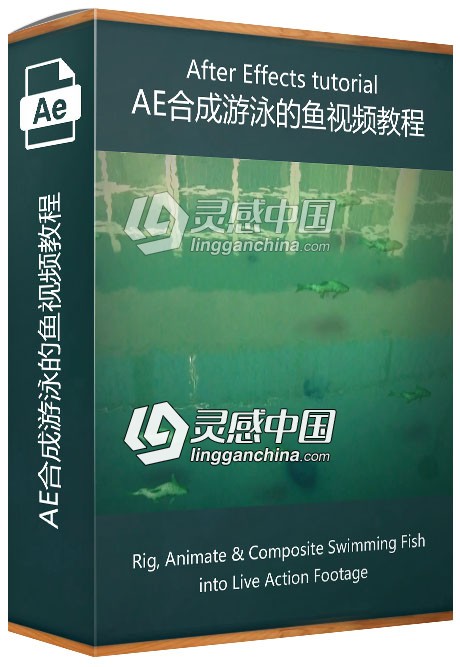 AE合成游泳的鱼视频教程  灵感中国网 www.lingganchina.com