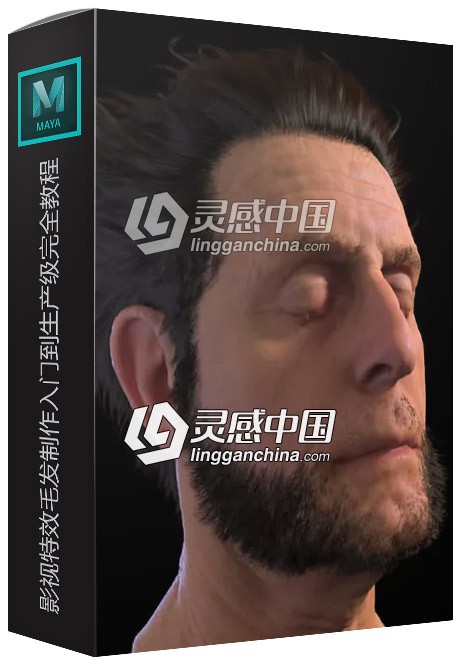 Yeti For Maya影视特效毛发制作入门到生产级完全中文视频教程  灵感中国网 www.lingganchina.com