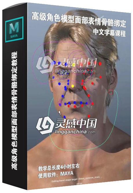 高级角色模型面部表情骨骼绑定中文字幕视频教程  灵感中国网 www.lingganchina.com