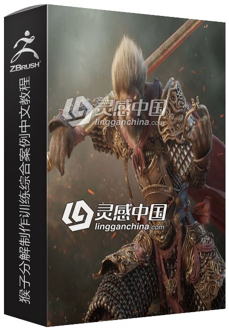 ZBrush猴子分解制作训练综合案例雕刻建模及材质贴图中文视频教程  灵感中国网 www.lingganchina.com