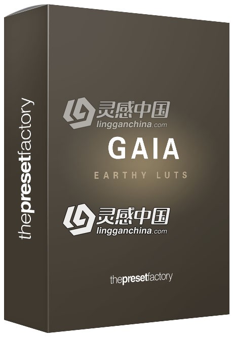 预设工厂旅拍婚礼柔和自然视频调色LUT预设 Earthy Color Grades 支持AE/PR/FCPX/PS  灵感中国网 www.lingganchina.com