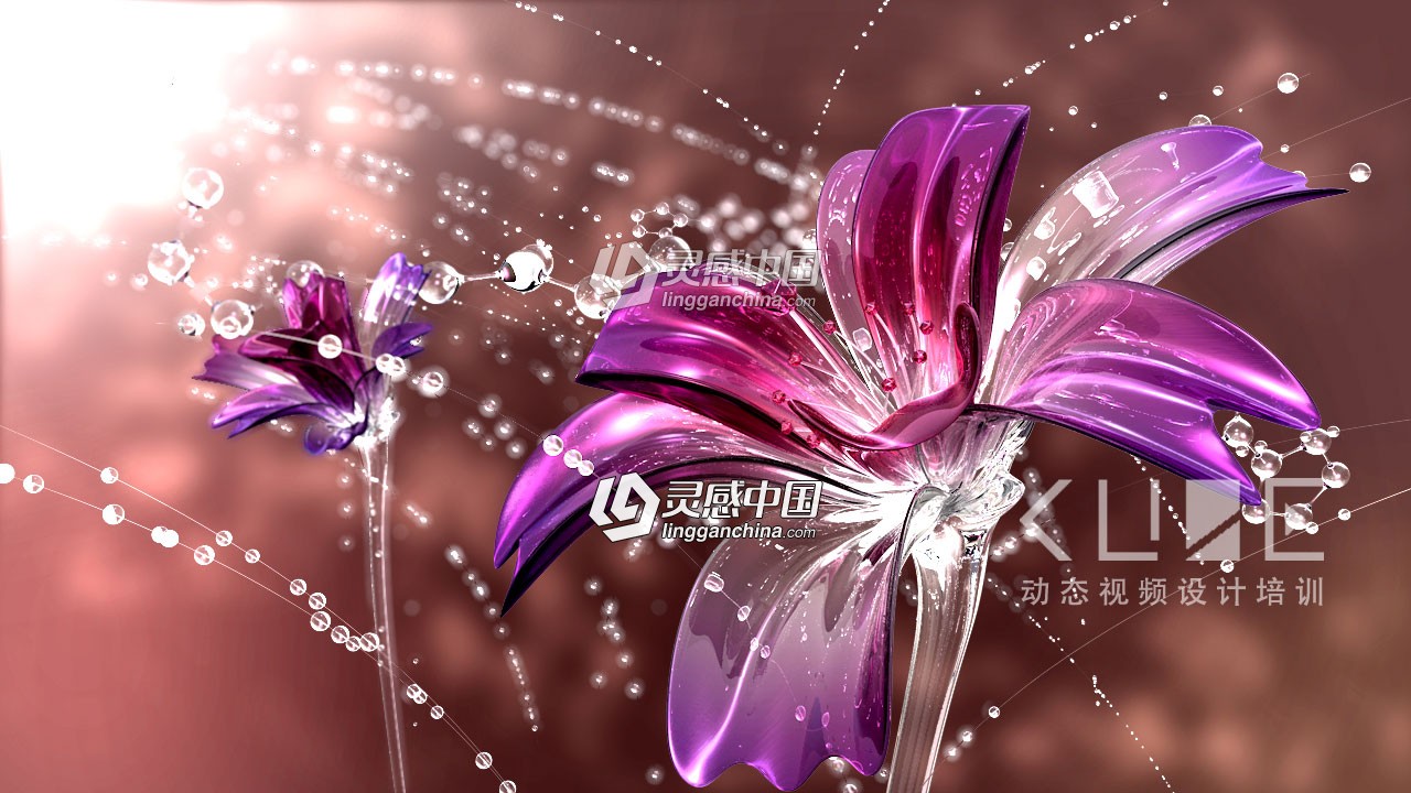 CUBE教程绽放的动态玻璃花制作中文教程  灵感中国网 www.lingganchina.com