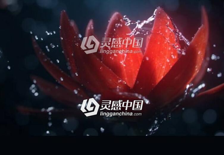 Realflow 2.0 for C4D中文教学第一章：场景详解  灵感中国网 www.lingganchina.com