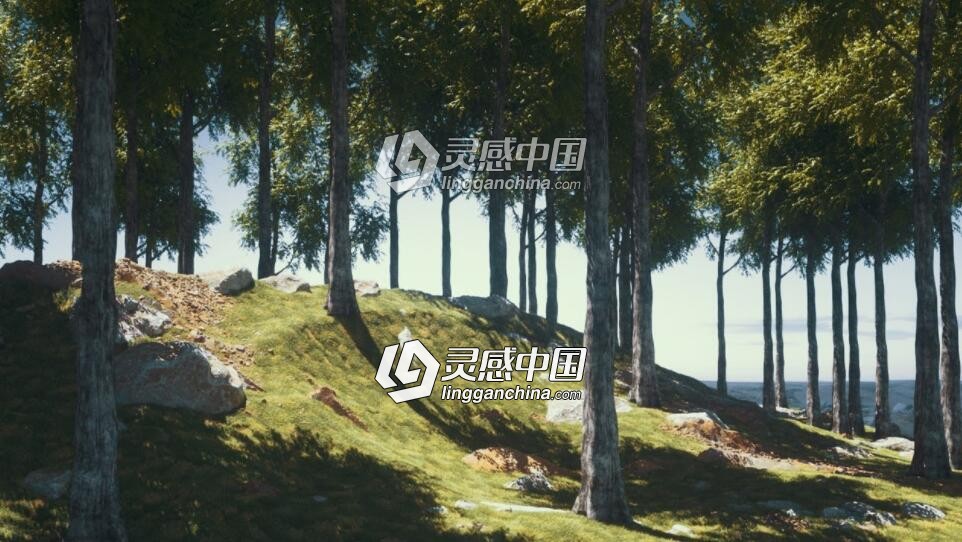 Cinema 4D Octane结合Forester插件创建真实树木草地案例视频教程  灵感中国网 www.lingganchina.com