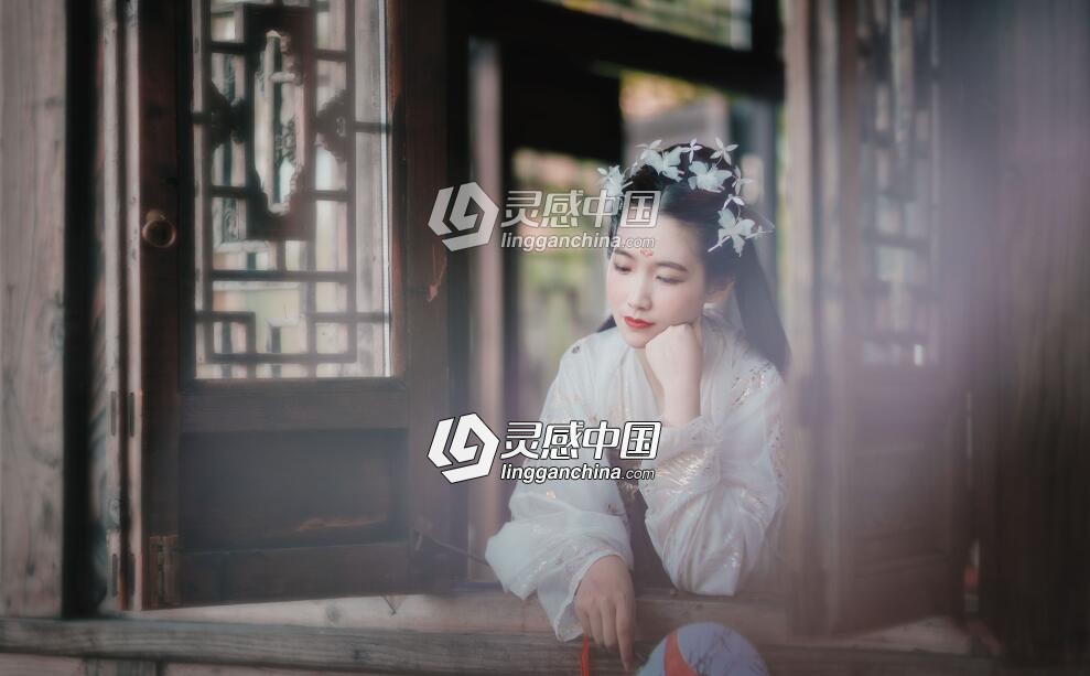 延禧攻略古风Camera Raw预设  灵感中国网 www.lingganchina.com