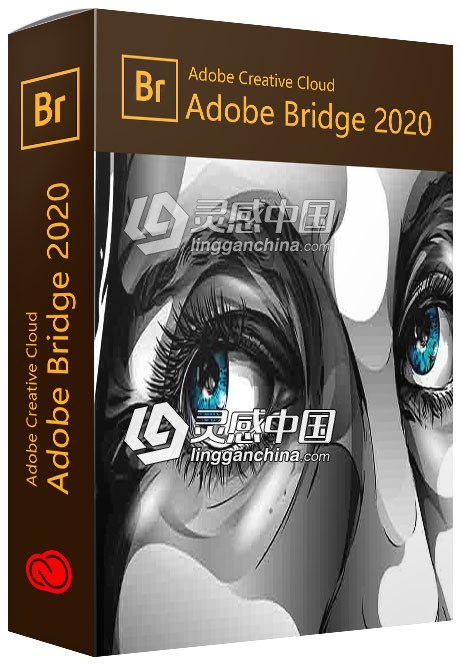 Adobe Bridge 2020 10.0.0.124 ACR 12.0 Win 10 x64系统一键安装完整版  灵感中国网 www.lingganchina.com