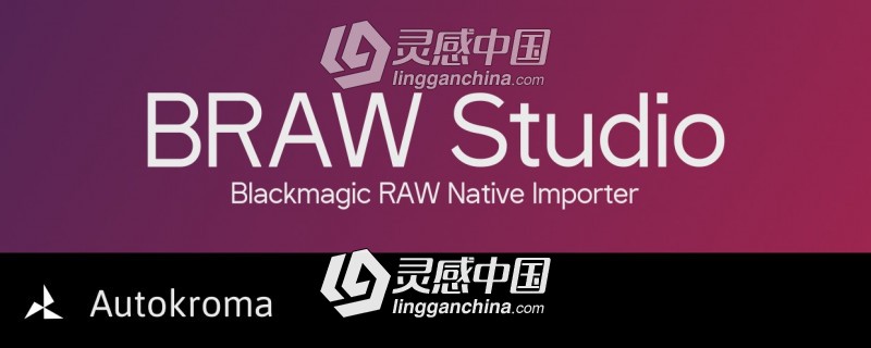 Blackmagic RAW格式视频素材导入软件 BRAW Studio v1.8.0 Win破解版 附视频教程  灵感中国网 www.lingganchina.com