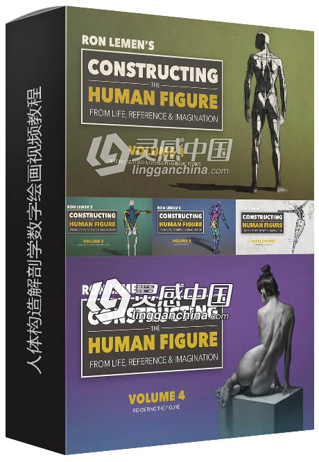 Muddy Colors人体构造解剖学数字绘画核心训练视频教程  灵感中国网 www.lingganchina.com