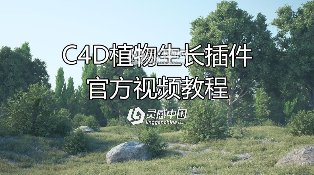 3DQUAKERS Forester官网操作使用视频教程  灵感中国网 www.lingganchina.com