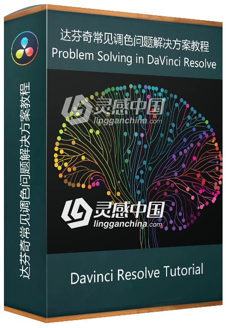 达芬奇DaVinci Resolve常见调色问题解决方案视频教程  灵感中国网 www.lingganchina.com