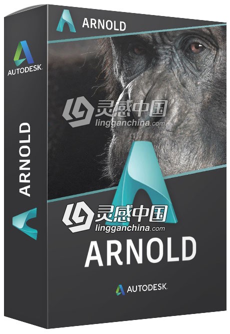 Maya阿诺德Arnold渲染器插件MtoA SolidAngle Maya To Arnold 4.0.1 Win破解版  灵感中国网 www.lingganchina.com