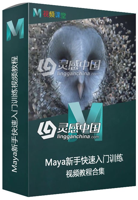 Maya新手快速入门训练视频教程  灵感中国网 www.lingganchina.com