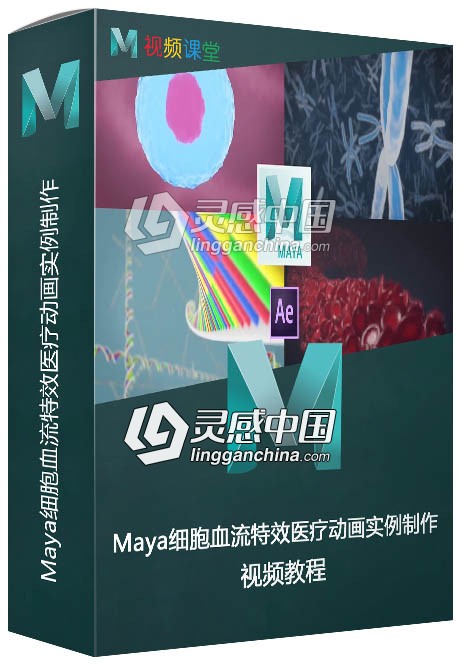 Maya细胞血流特效医疗动画实例制作视频教程  灵感中国网 www.lingganchina.com