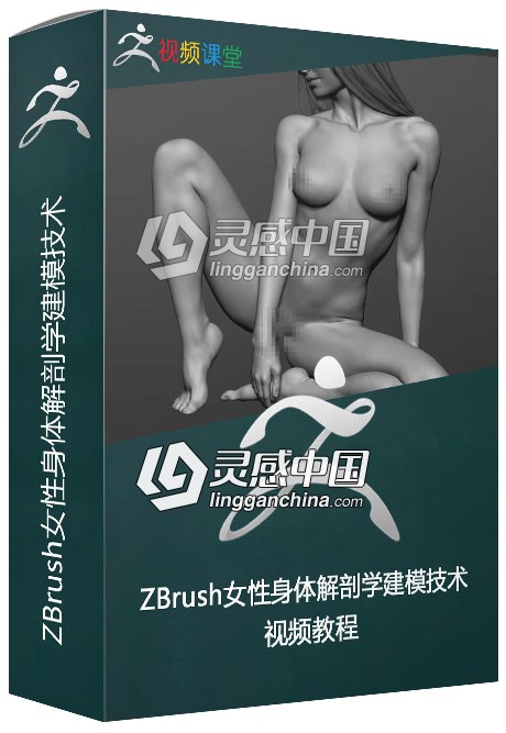 ZBrush女性身体解剖学建模技术视频教程  灵感中国网 www.lingganchina.com