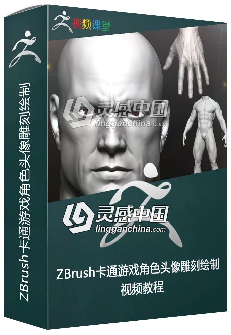 ZBrush人体头部手足身体解剖训练视频教程  灵感中国网 www.lingganchina.com