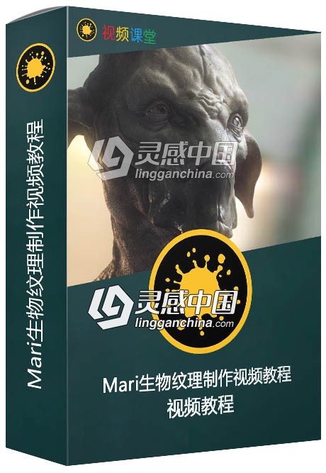 Mari生物纹理制作视频教程  灵感中国社区 www.lingganchina.com