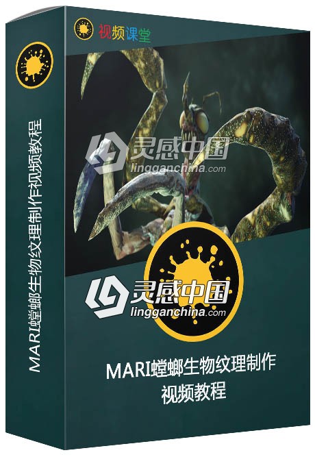 MARI螳螂生物纹理制作视频教程  灵感中国网 www.lingganchina.com